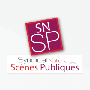 Logo_SNSP
